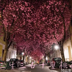 啊⋯学长⋯好硬⋯拔出来微博
