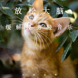 啊⋯学长⋯好硬⋯拔出来微博
